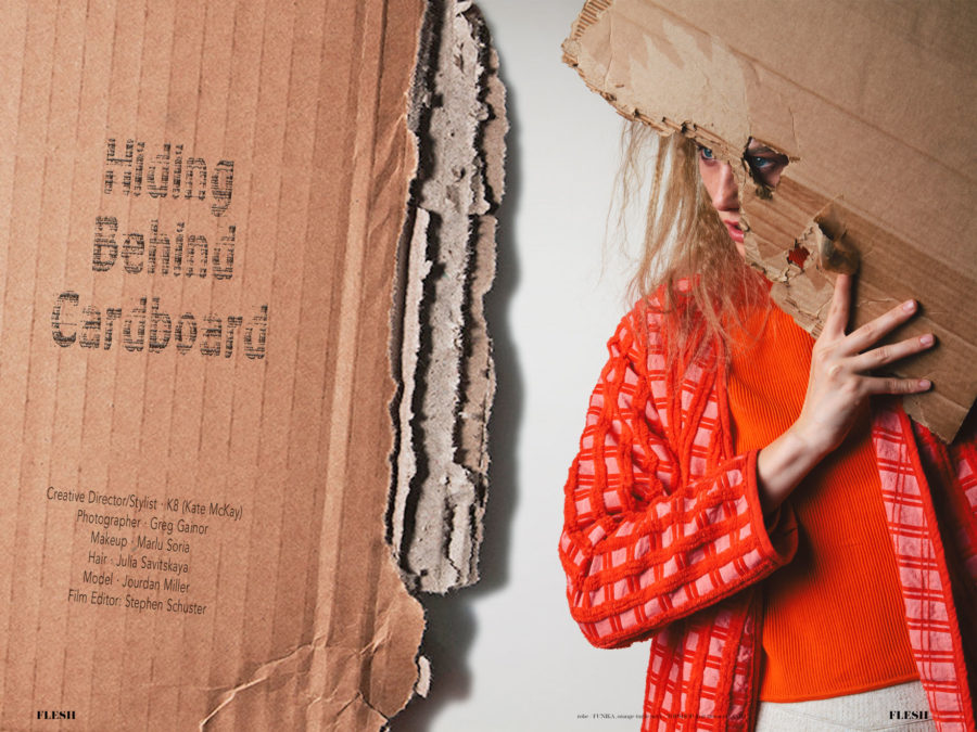 Hiding Behind Cardboard FLESH Magazine Photo Greg Gainor K8 McKay
