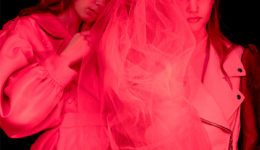 Shades of Red Alex Blanco